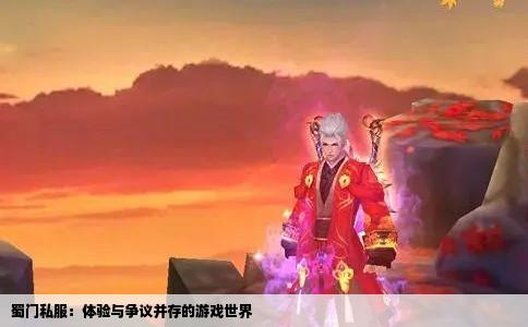 蜀门私服：体验与争议并存的游戏世界